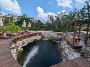 Suite entre cenotes y selva